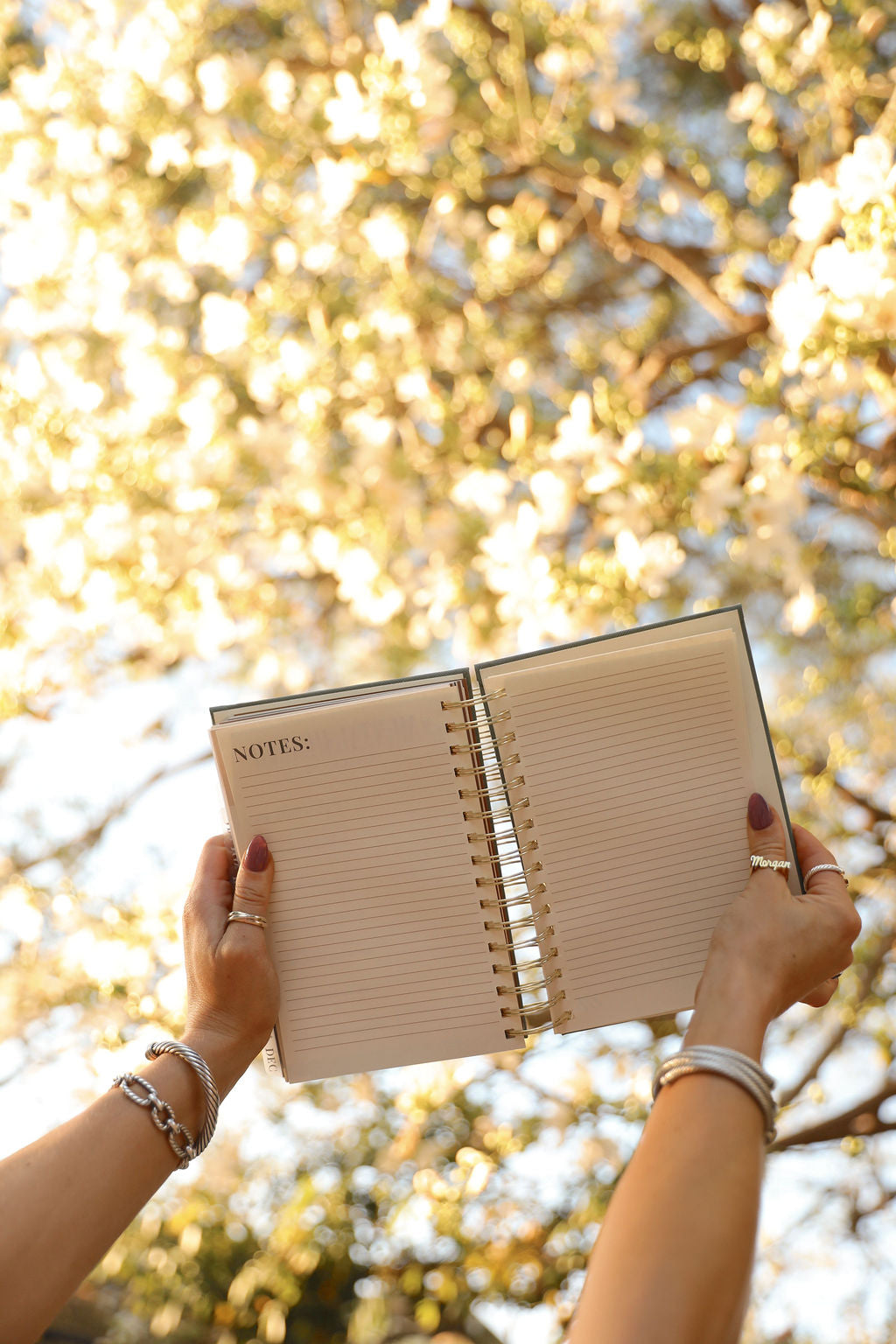 2027 Intentional Living Planner